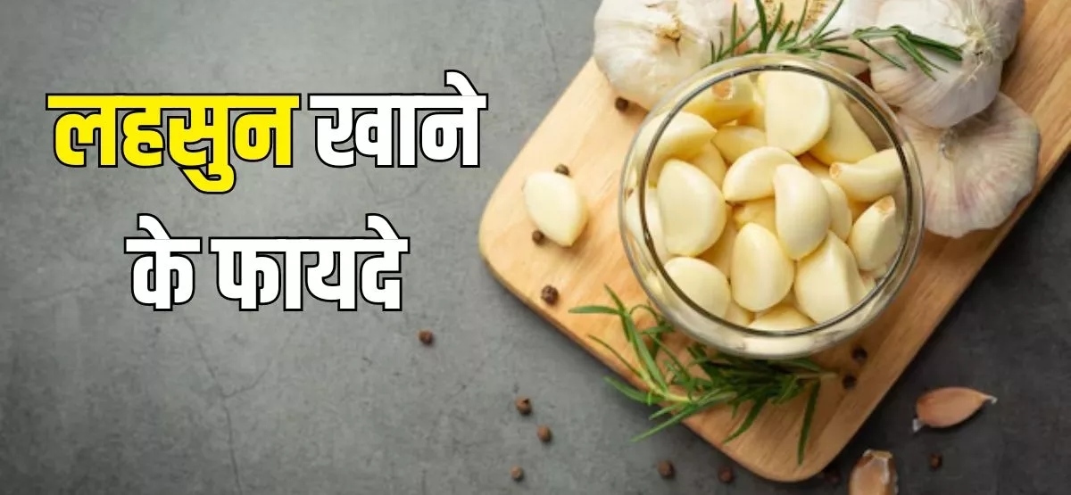 लहसुन में छिपा है सेहत का राज, रोज खाने से मिलेंगे  हैरान करने वाले फायदे